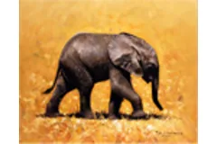 Large image, click to enlarge