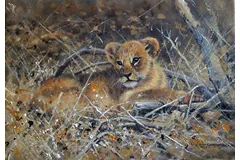 No frame image, click to enlarge