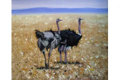 No frame image, click to enlarge