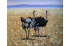 Large image, click to enlarge