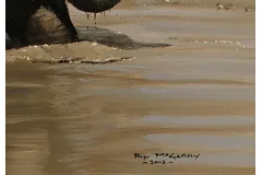 Signature image, click to enlarge