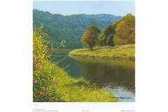 No frame image, click to enlarge