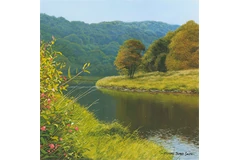 Large image, click to enlarge