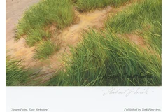 Signature image, click to enlarge