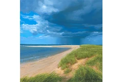 Large image, click to enlarge