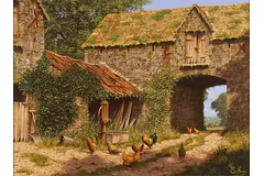 No frame image, click to enlarge