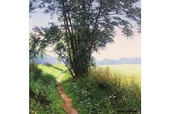 No frame image, click to enlarge