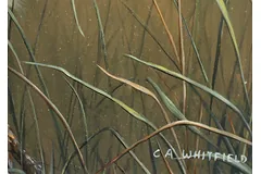 Signature image, click to enlarge