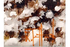 Signature image, click to enlarge