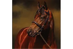 No frame image, click to enlarge