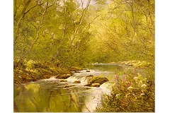 No frame image, click to enlarge