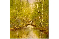 No frame image, click to enlarge