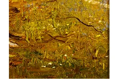 Signature image, click to enlarge