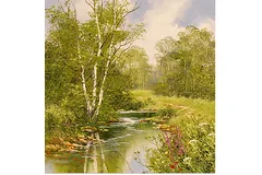 No frame image, click to enlarge