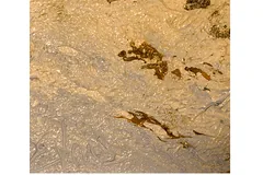 Signature image, click to enlarge