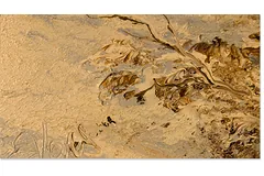 Signature image, click to enlarge