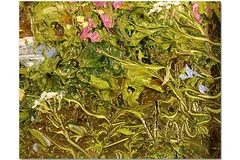 Signature image, click to enlarge