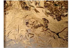 Signature image, click to enlarge