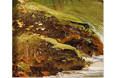 Signature image, click to enlarge