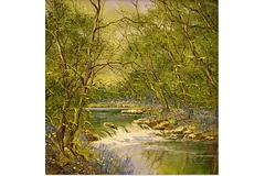 No frame image, click to enlarge
