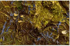 Signature image, click to enlarge
