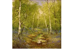No frame image, click to enlarge