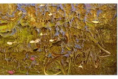 Signature image, click to enlarge