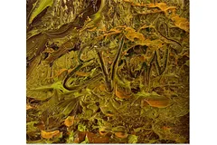 Signature image, click to enlarge