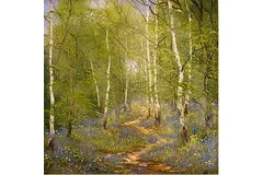 No frame image, click to enlarge