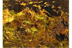 Signature image, click to enlarge