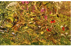 Signature image, click to enlarge