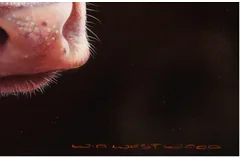 Signature image, click to enlarge