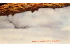 Signature image, click to enlarge