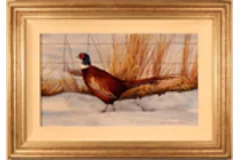 Large image, click to enlarge