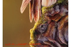 Signature image, click to enlarge