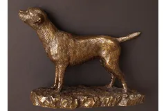 No frame image, click to enlarge