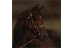 Large image, click to enlarge