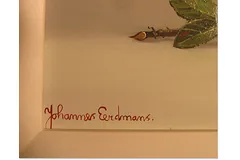 Signature image, click to enlarge