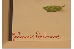 Signature image, click to enlarge