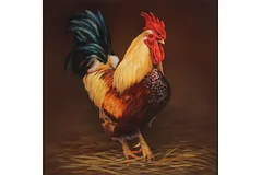 No frame image, click to enlarge