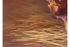 Signature image, click to enlarge