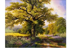 No frame image, click to enlarge