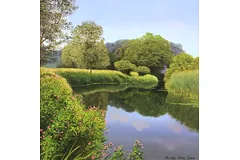 No frame image, click to enlarge