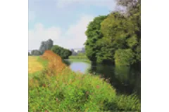 Large image, click to enlarge