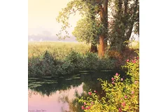No frame image, click to enlarge