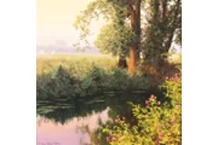 Large image, click to enlarge