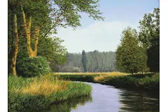 No frame image, click to enlarge