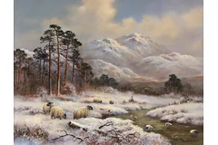 No frame image, click to enlarge