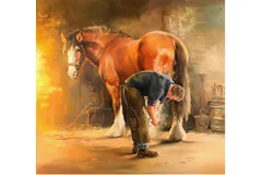 No frame image, click to enlarge