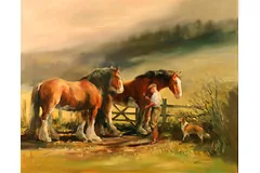 No frame image, click to enlarge